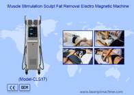 7 Tesla Elektro Magnetik RF Ems Otot Stimulasi Mesin Body Sculpting